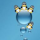 Pingouins Mignons sur des Gouttes d'Eau