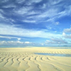 Paysage de Plage Serein