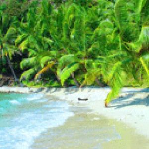 Paradis Tropical