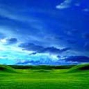 Paysage Vert Éclatant
