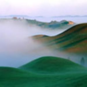 Paysage Brumeux