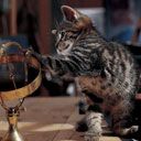 Chaton Joueur avec Globe