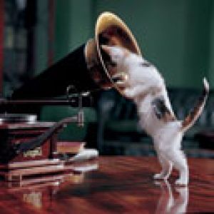 Chat Écoutant un Gramophone