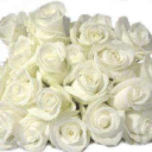 Bouquet de Roses Blanches