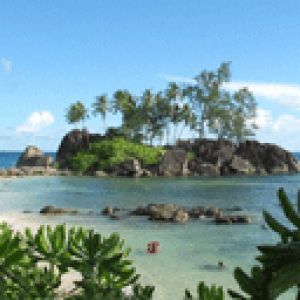 Île Tropicale Paradisiaque