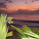 Coucher de Soleil Tropical sur l'Océan