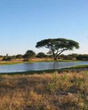 Paysage Naturel Serein