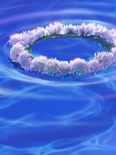 Couronne Florale sur l'Eau