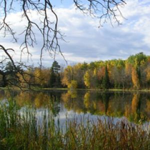 Reflets d'Automne sur un Lac