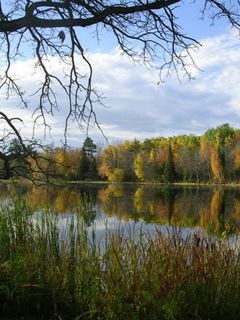 Reflets d'Automne sur un Lac