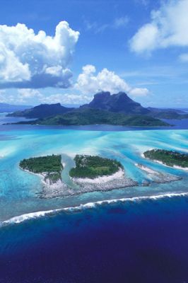 Paradis de l'Île Tropicale