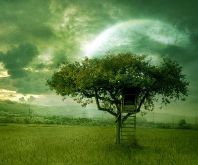 Cabane dans un arbre dans un paysage mystique