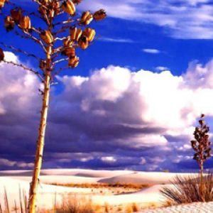 Paysage désertique avec des nuages