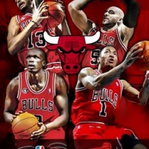 Chicago Bulls 2010-2011 Playoffs