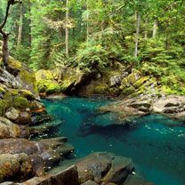 Ruisseau Forestier Serein