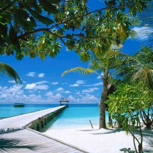 Paradis de Plage Tropicale