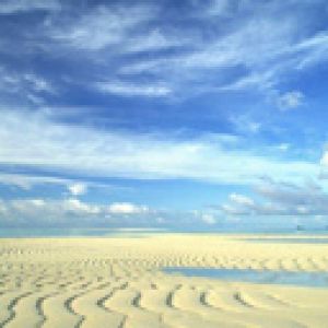 Paysage de Plage Serein