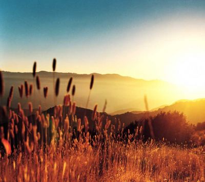 Coucher de Soleil Doré sur les Montagnes