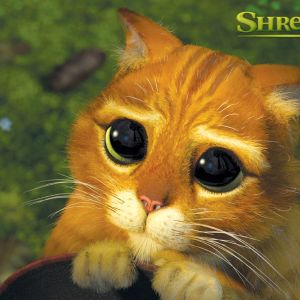 Puss in Boots de Shrek