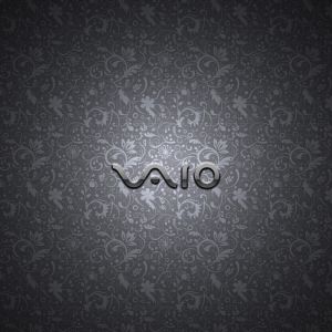 Logo VAIO sur Fond Élégant