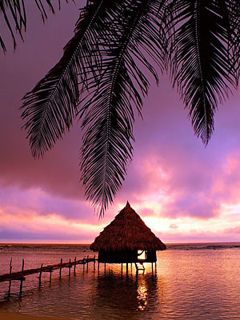 Coucher de Soleil Tropical sur l'Eau