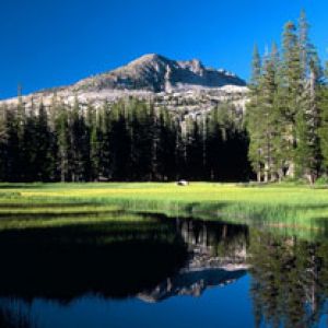 Reflet de Montagne dans un Lac Serein