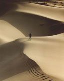 Paysage de Dunes Désertiques