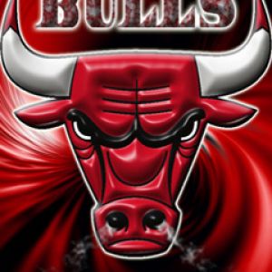 Logo Chicago Bulls