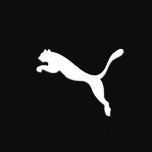 Design Minimaliste du Logo Puma