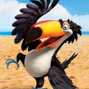 Toucan Coloré sur la Plage