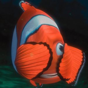 Poisson Clown Coloré Sous l'Eau