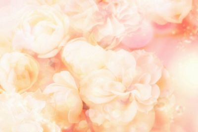 Fond Floral Rose Doux