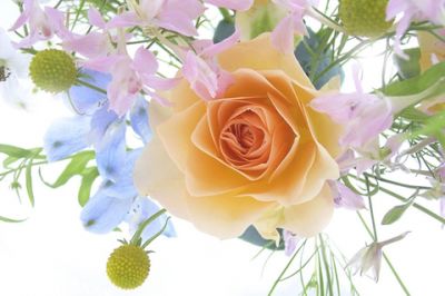Magnifique Arrangement Floral