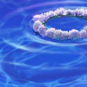 Couronne de fleurs sur l'eau
