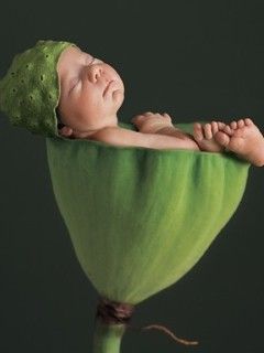 Bébé Endormi dans un Lotus