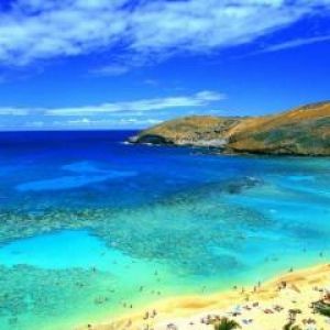 Paradis de Plage Tropicale