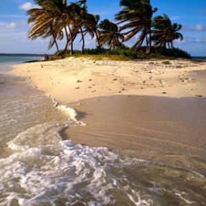Paradis Tropical