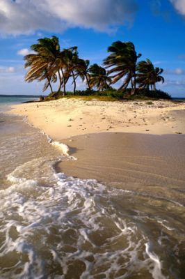 Paradis Tropical