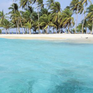 Plage du Paradis Tropical