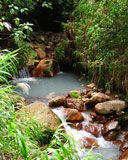 Ruisseau Serein dans la Forêt