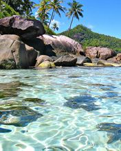 Paradis Tropical