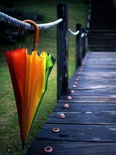 Parapluie Coloré sur un Chemin