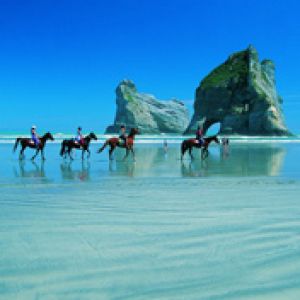 Balade à Cheval sur la Plage