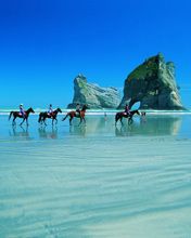 Balade à Cheval sur la Plage