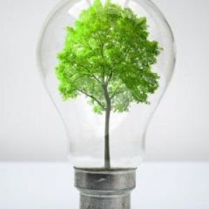 Arbre dans une ampoule