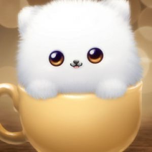 Chat Fluffy et Mignon dans une Tasse