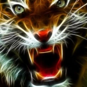 Portrait de Tigre Féroce