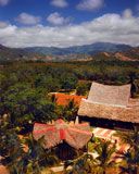 Paysage tropical avec cottages