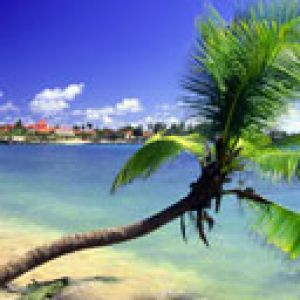 Paradis Tropical