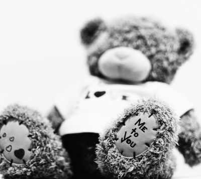 Ours en Peluche Amoureux